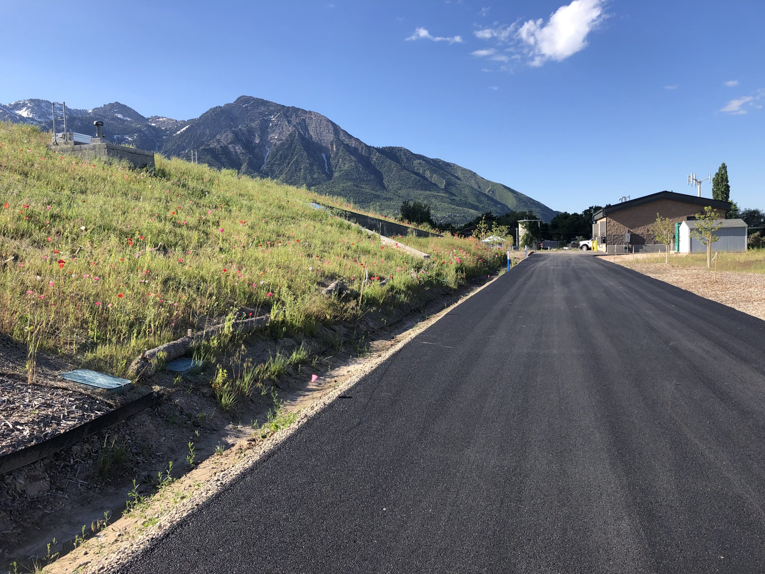 Road on site of the Terminal Reservoir beside grass, flowers, and mountains in the background.