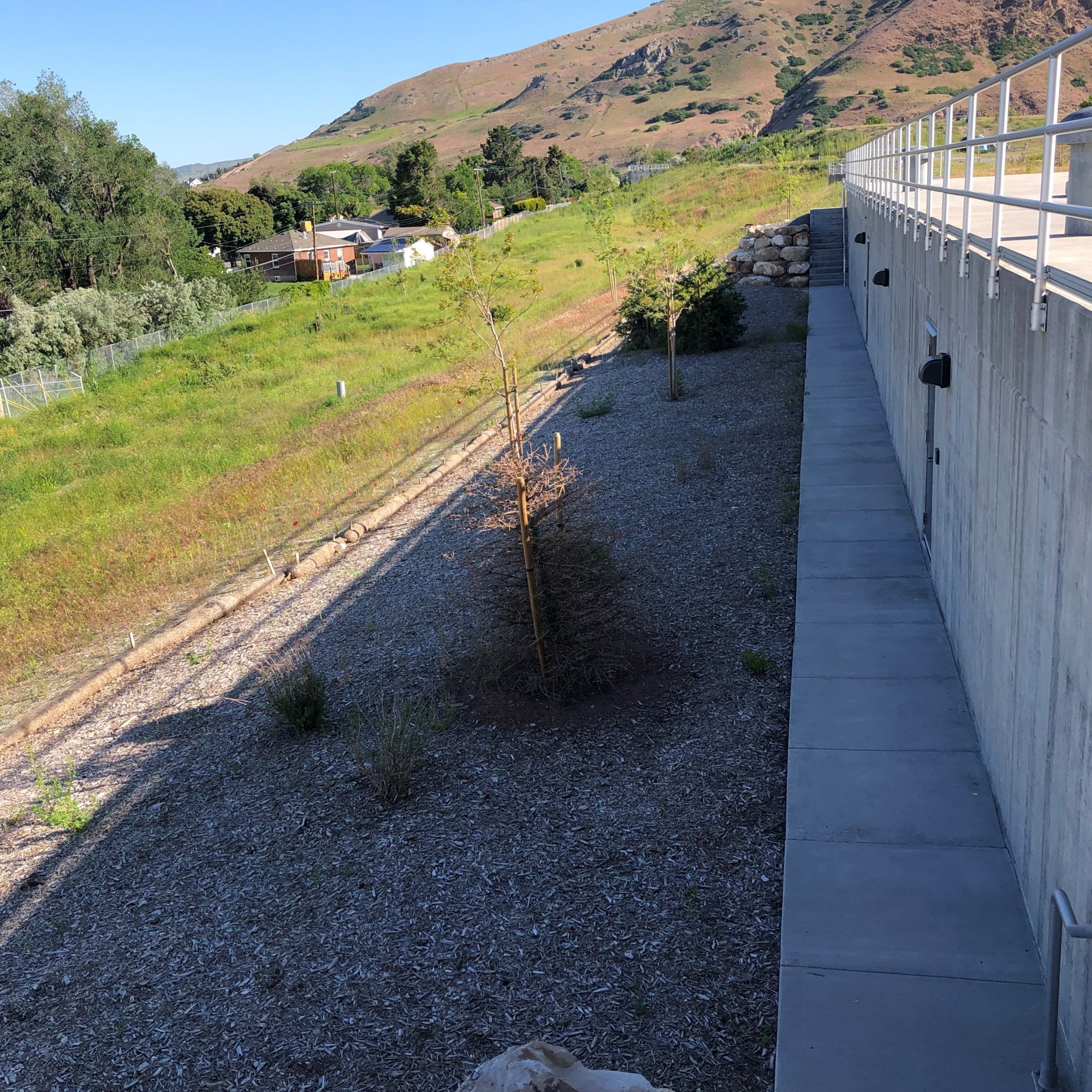 View of the Terminal Reservoir near the adjacent neighborhood.