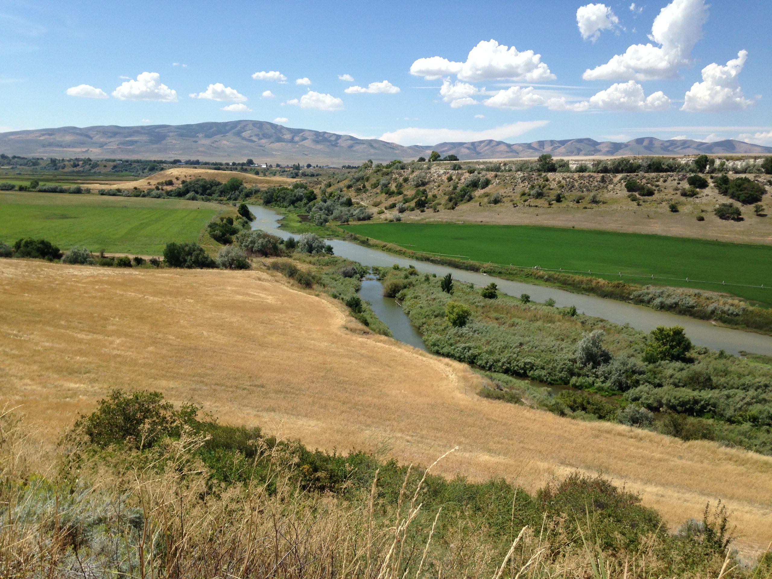 Bear River with fields and mountains in the background.